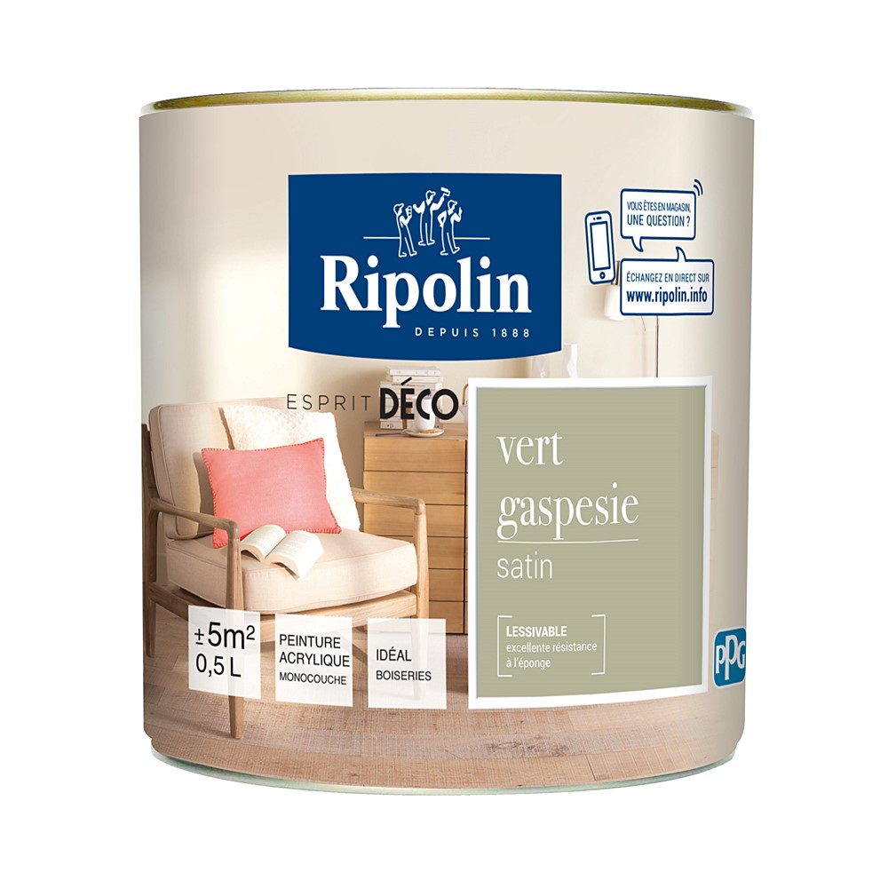 Peinture multisupport Esprit déco satin 0,5L vert gaspesie RIPOLIN