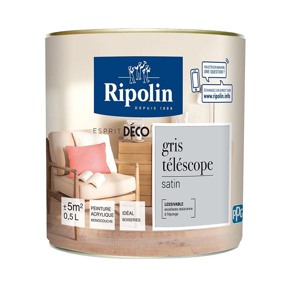 Peinture multisupport Esprit déco satin 0,5L gris téléscope RIPOLIN