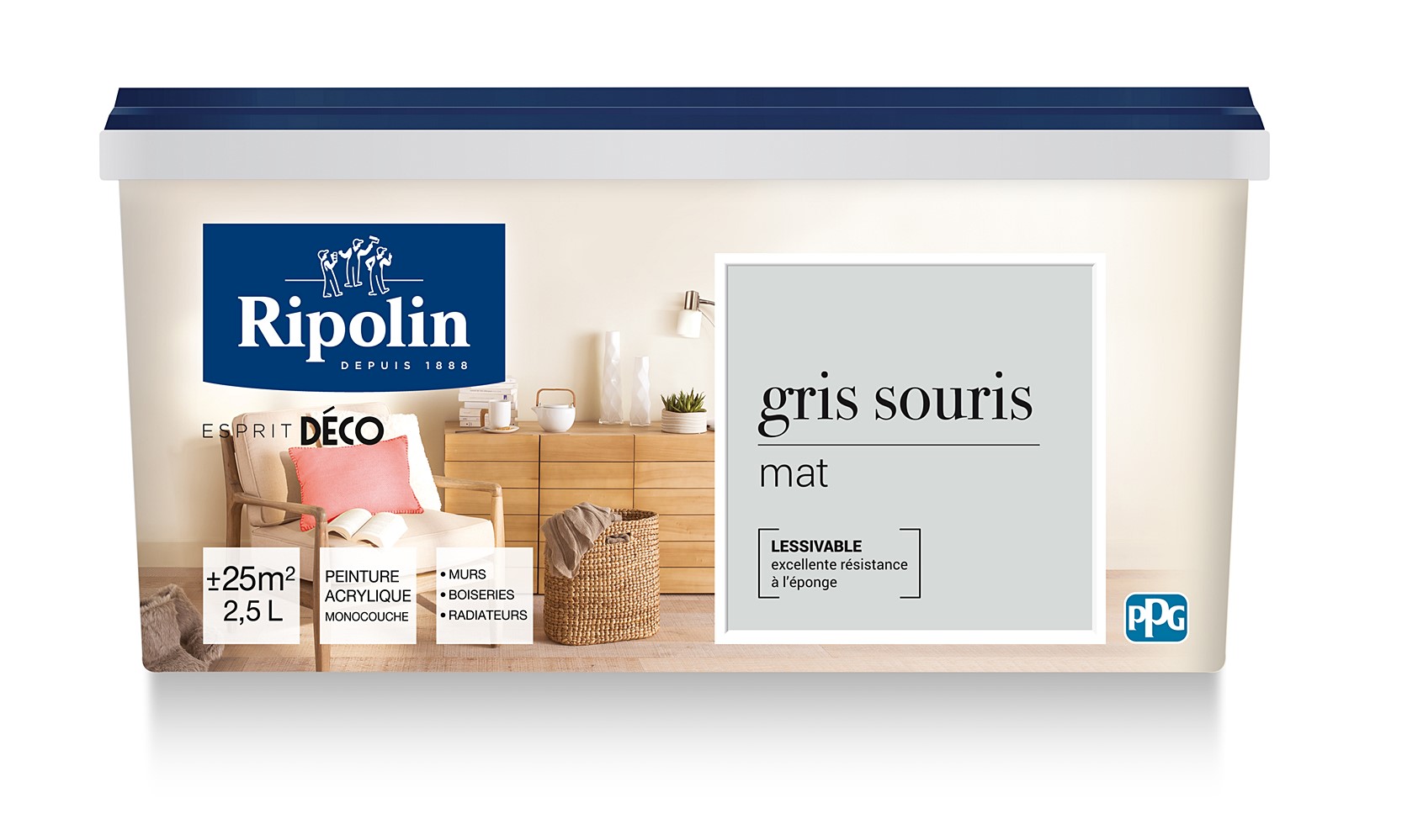 Peinture mat gris souris 2,5L - RIPOLIN