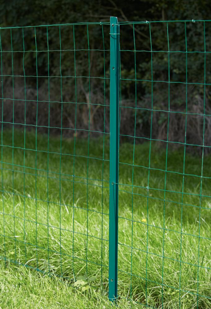 Grillage en Rouleau Soudé Vert Axial H1,5x20m - DIRICKX