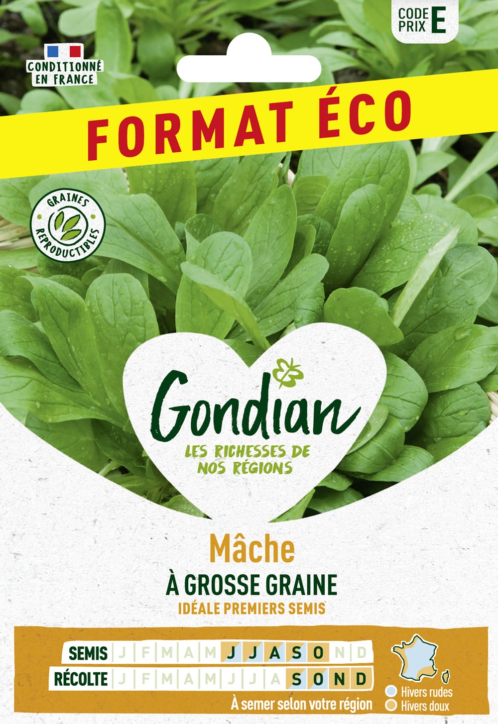 Mâche à Grosse Graine - GONDIAN