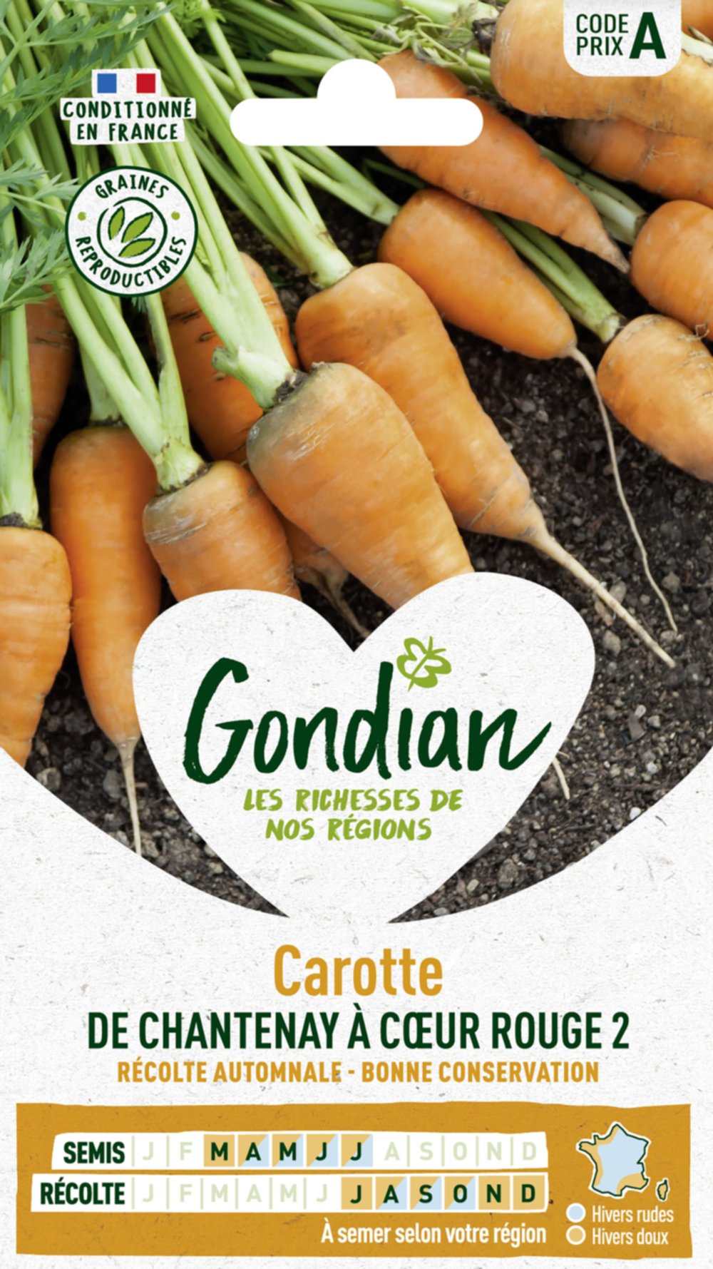 Carotte de Chantenay à Cœur Rouge 2 - GONDIAN