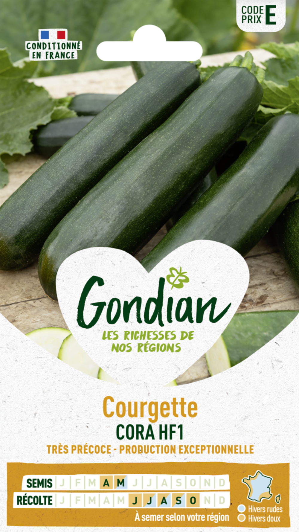 Courgette Cora HF1 - GONDIAN
