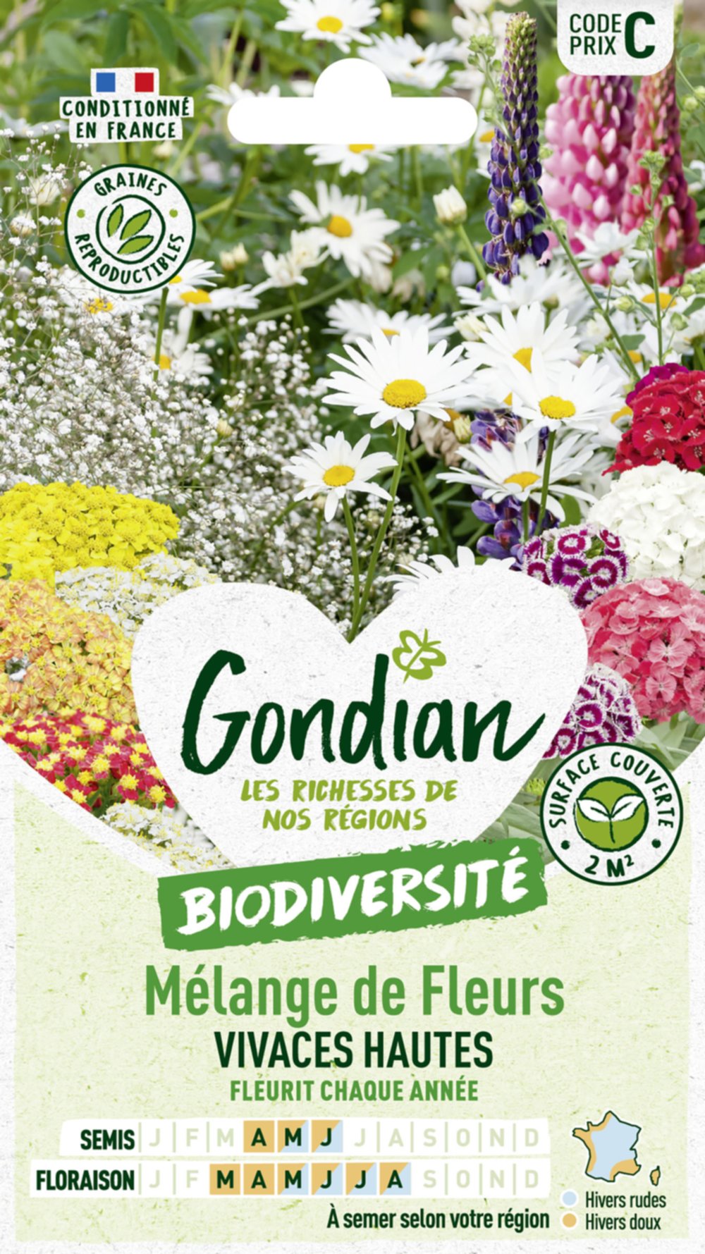 Mélange de fleurs Fleurs Vivaces Hautes - GONDIAN