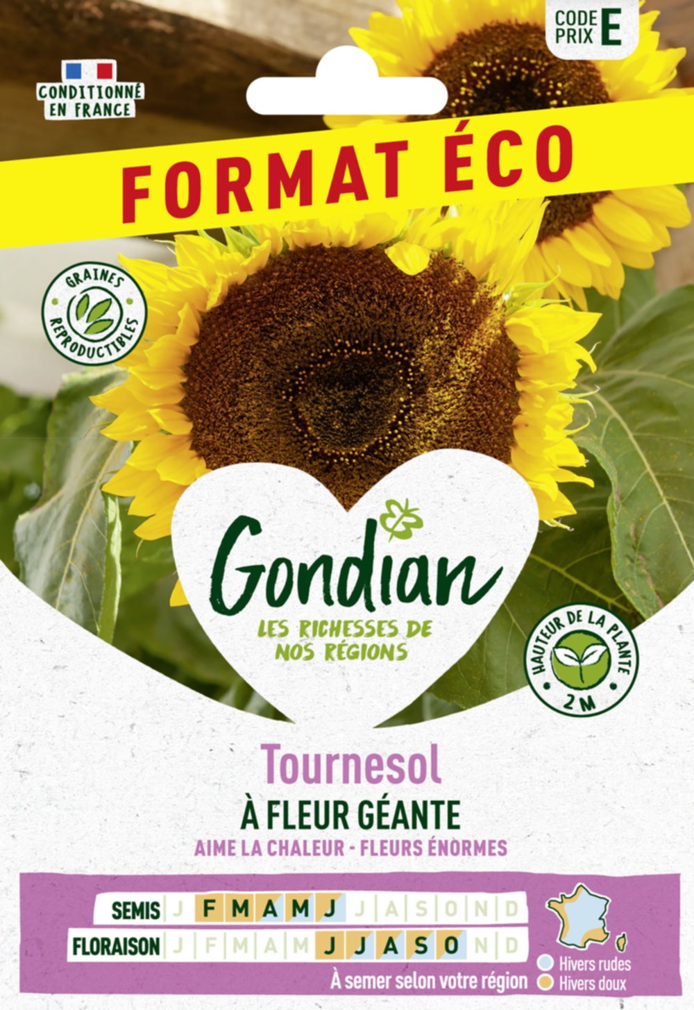 Tournesol à Fleur Géante - GONDIAN
