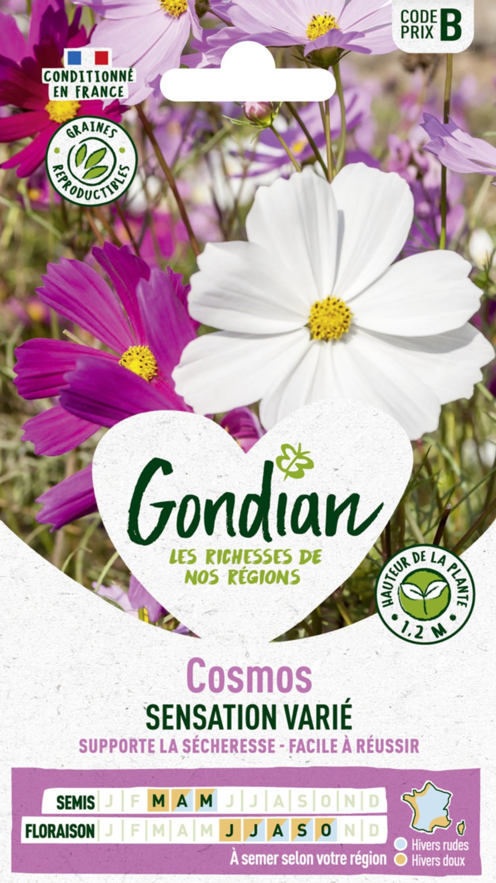Cosmos Sensation Varié - GONDIAN