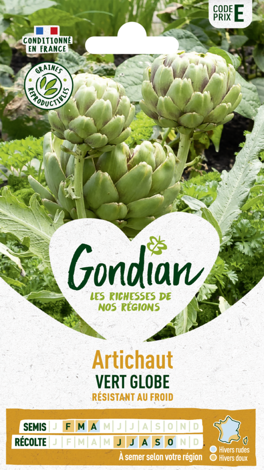 Artichaut Vert Globe - GONDIAN