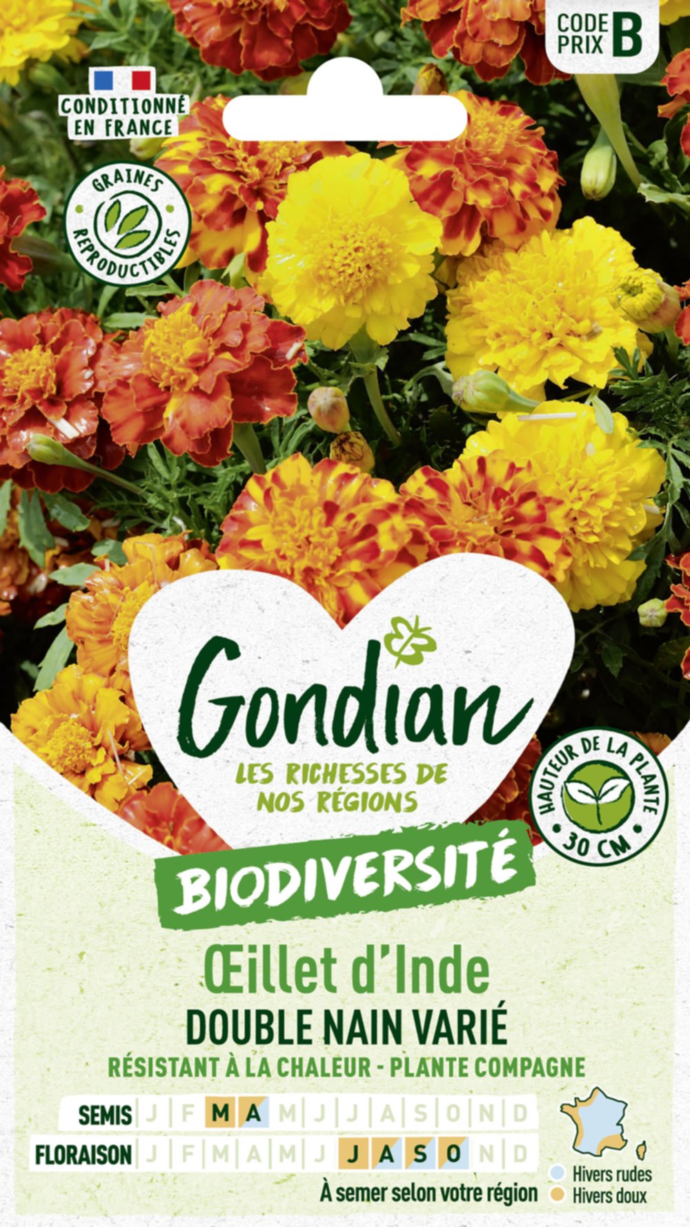 Œillet d'Inde Double Nain Varié - GONDIAN
