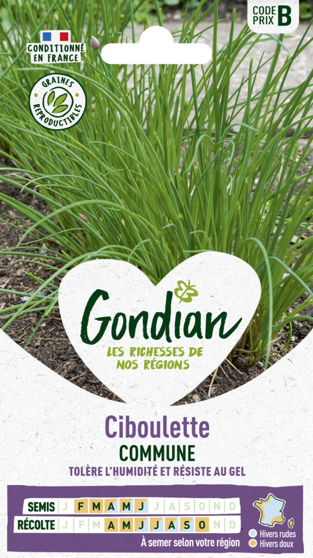 Ciboulette Très Fine Danoise - GONDIAN