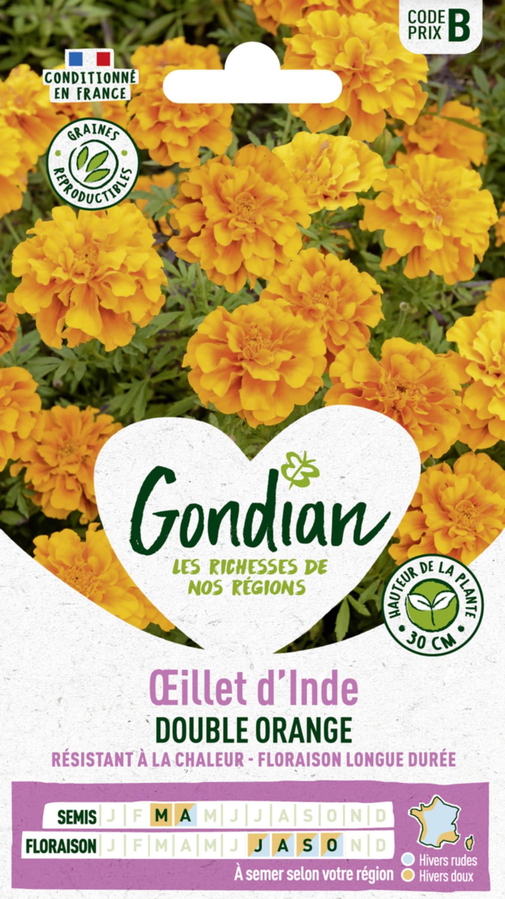 Œillet d'Inde Petite Orange - GONDIAN