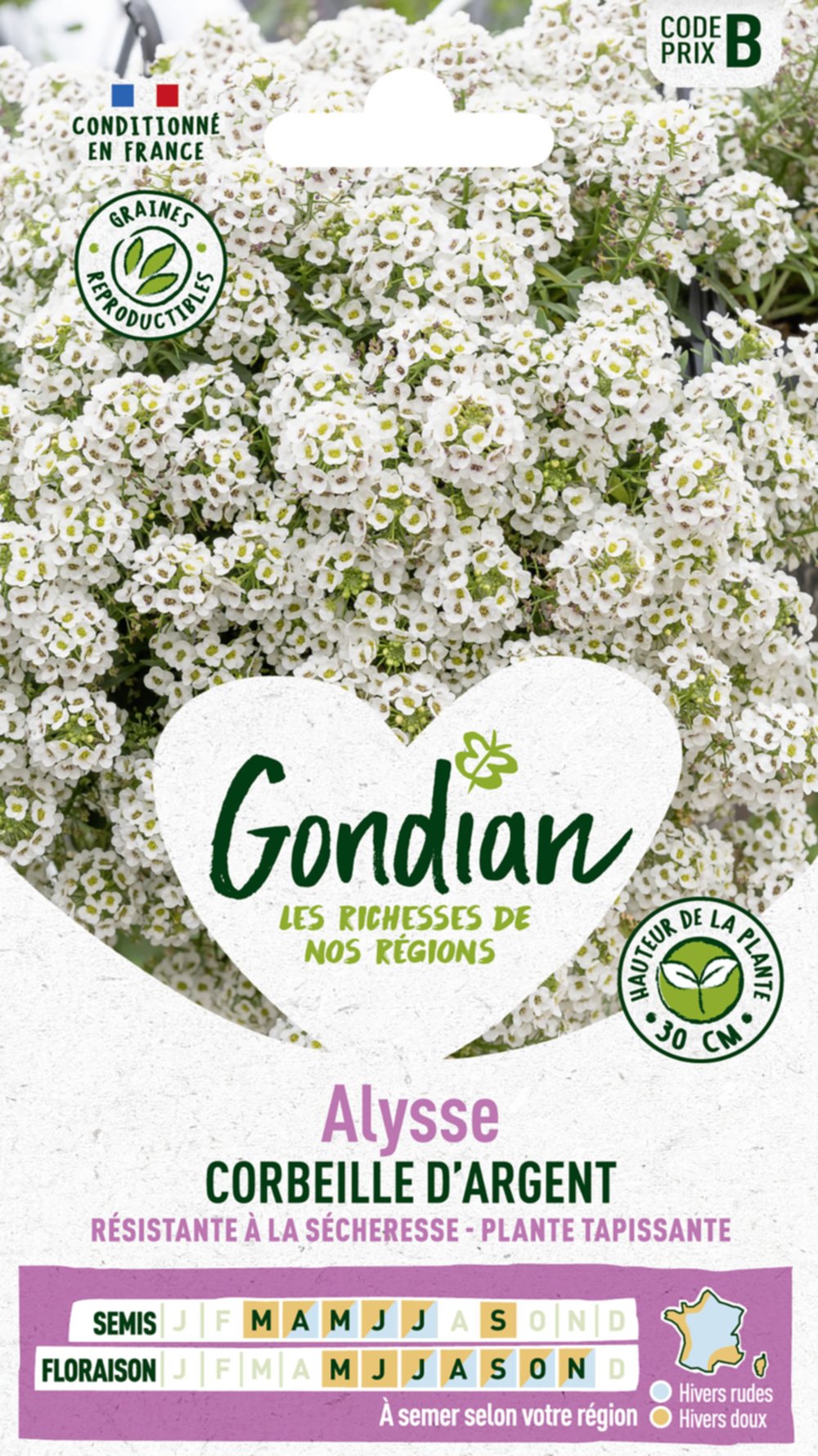 Alysse Corbeille d'Argent - GONDIAN