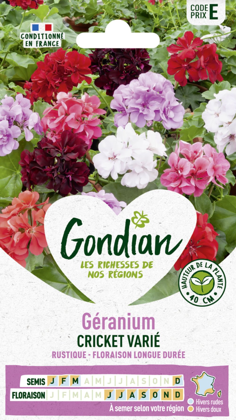 Géranium Cricket Varié HF2 - GONDIAN