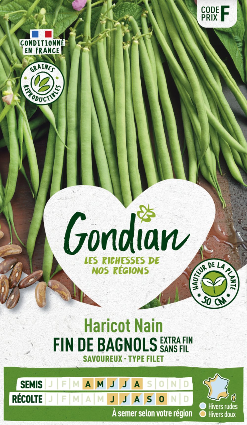 Haricot Fin de Bagnols - GONDIAN