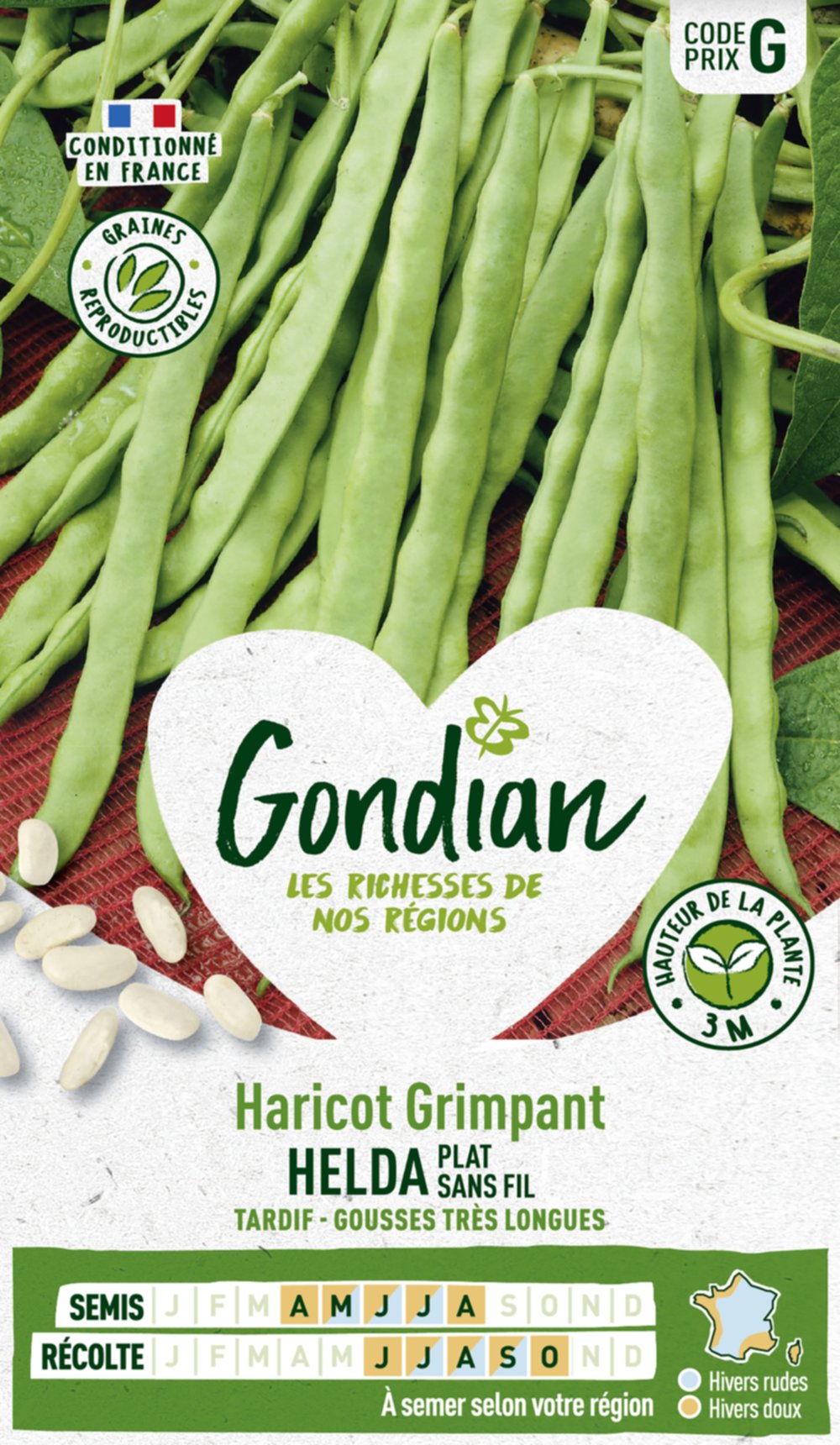 Haricot Helda - GONDIAN
