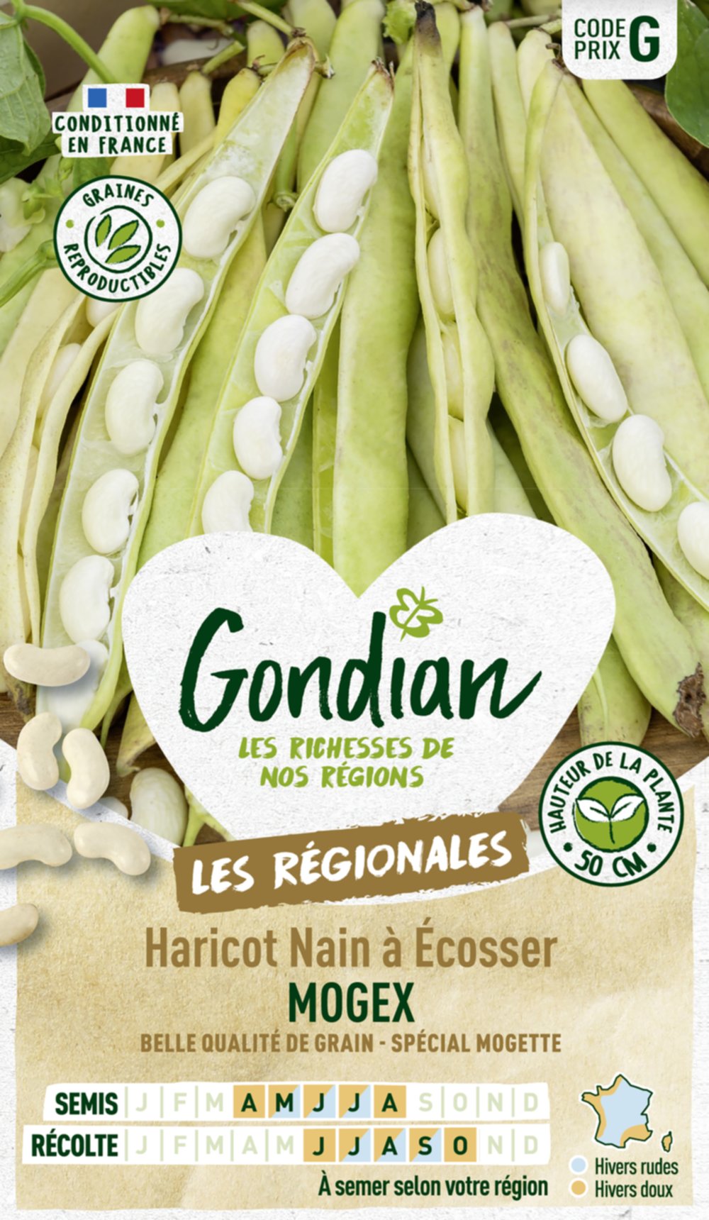 Haricot Mogex - GONDIAN