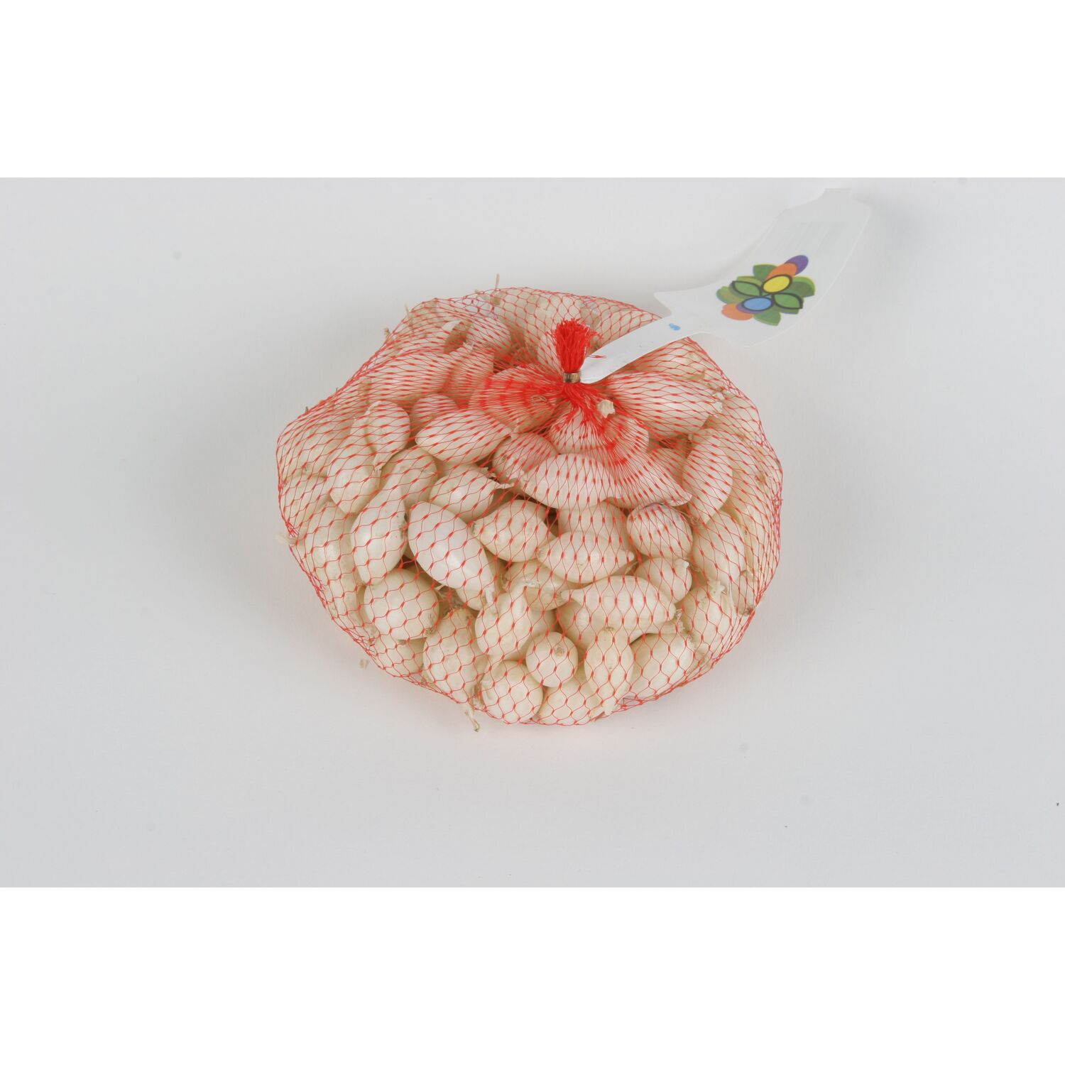 Bulbes Oignon Blanc Calibre 14-21 250gr