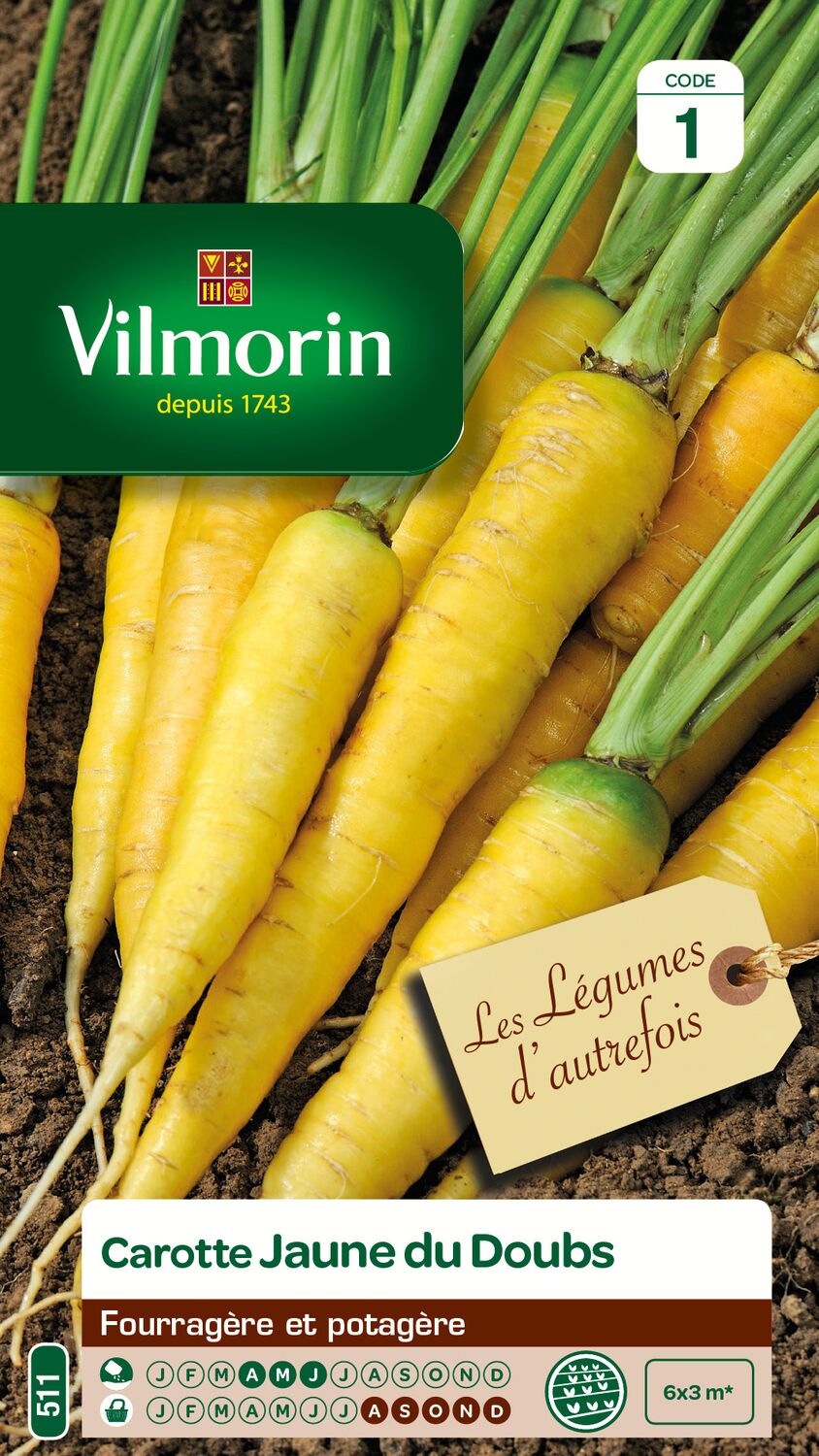 Graines Carotte Jaune Obtuse du Doubs - VILMORIN