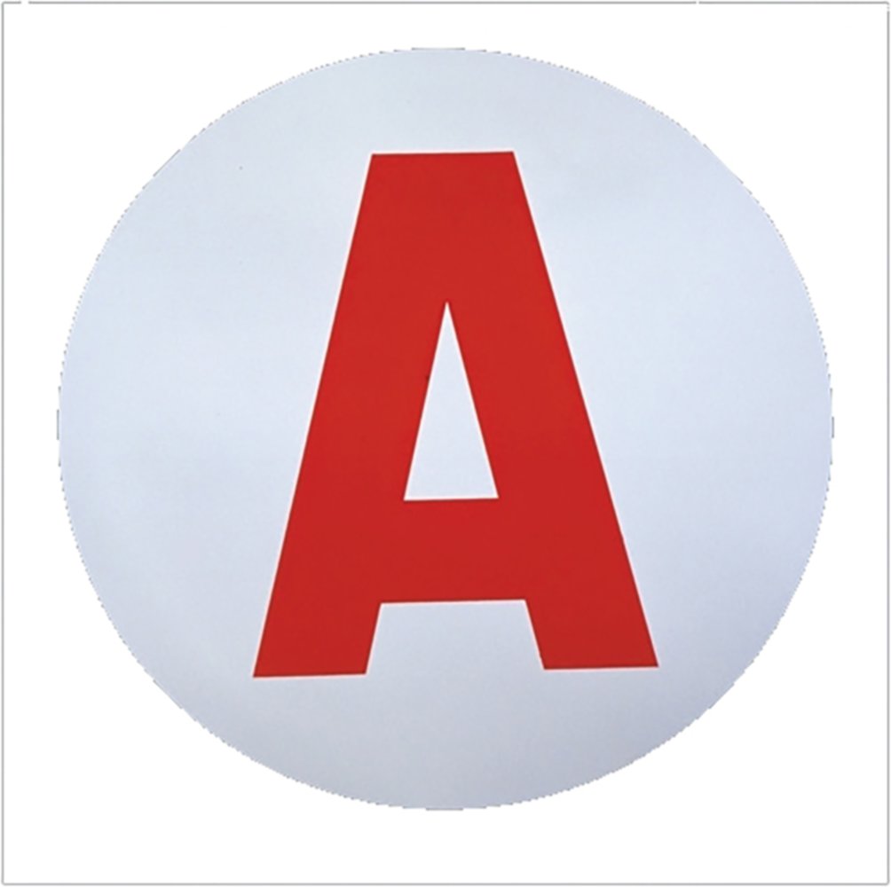 Disque jeune conducteur electrostatique