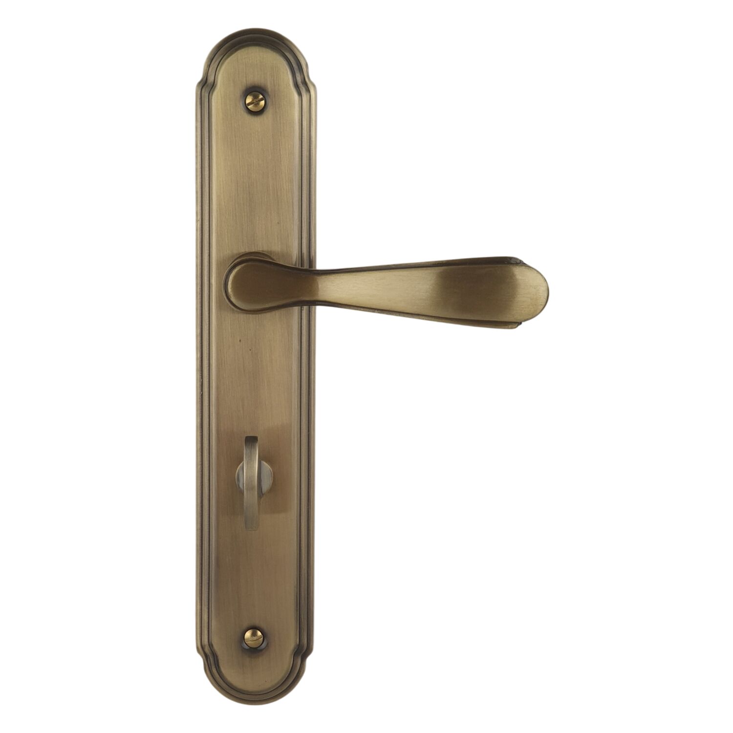 Poignée de porte extérieure cylindre Camille 195mm - ALPERTEC