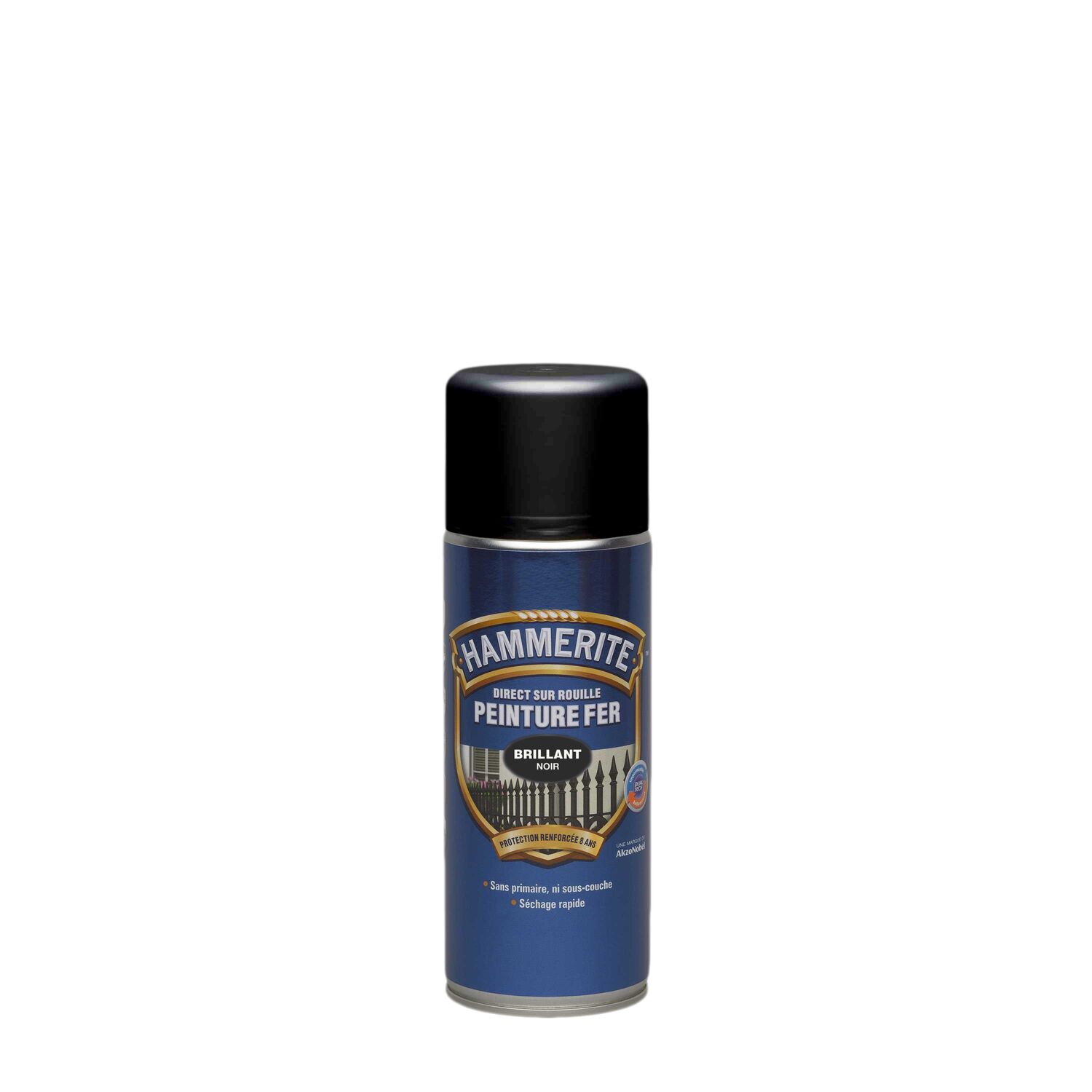 Peinture fer noir brillant 400ml - HAMMERITE