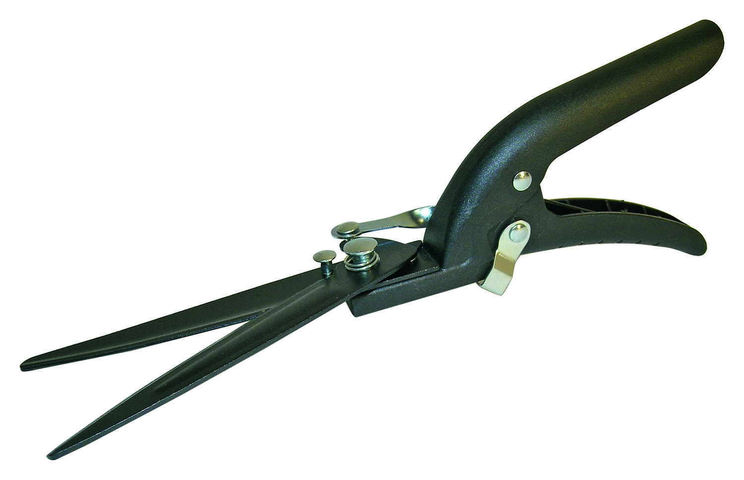 Cisaille à gazon - 1ER PRIX