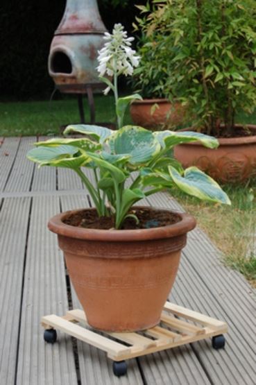 Roule pot bois FSC Naturel 0,35x0,35m