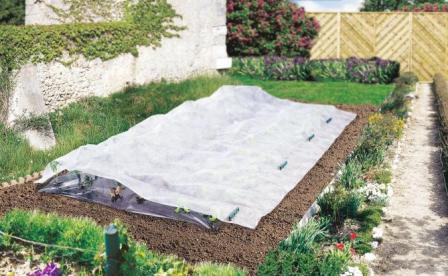 Voile de croissance Climatex 2x5m - NORTENE