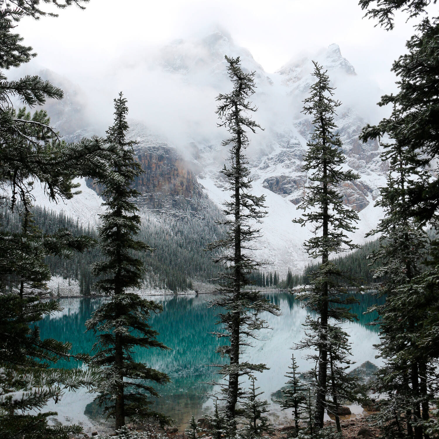 Tableau sur toile silent nature 30x30cm