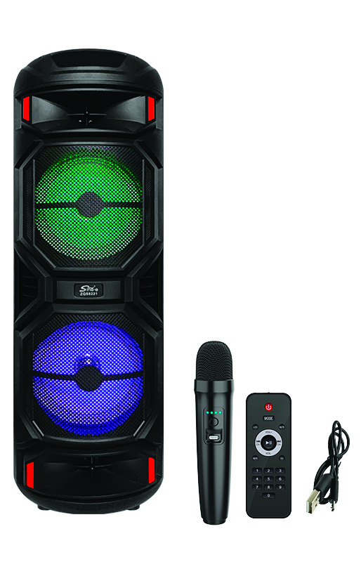 Enceinte amplifiée Boom-box avec micro sans fil et télécommande