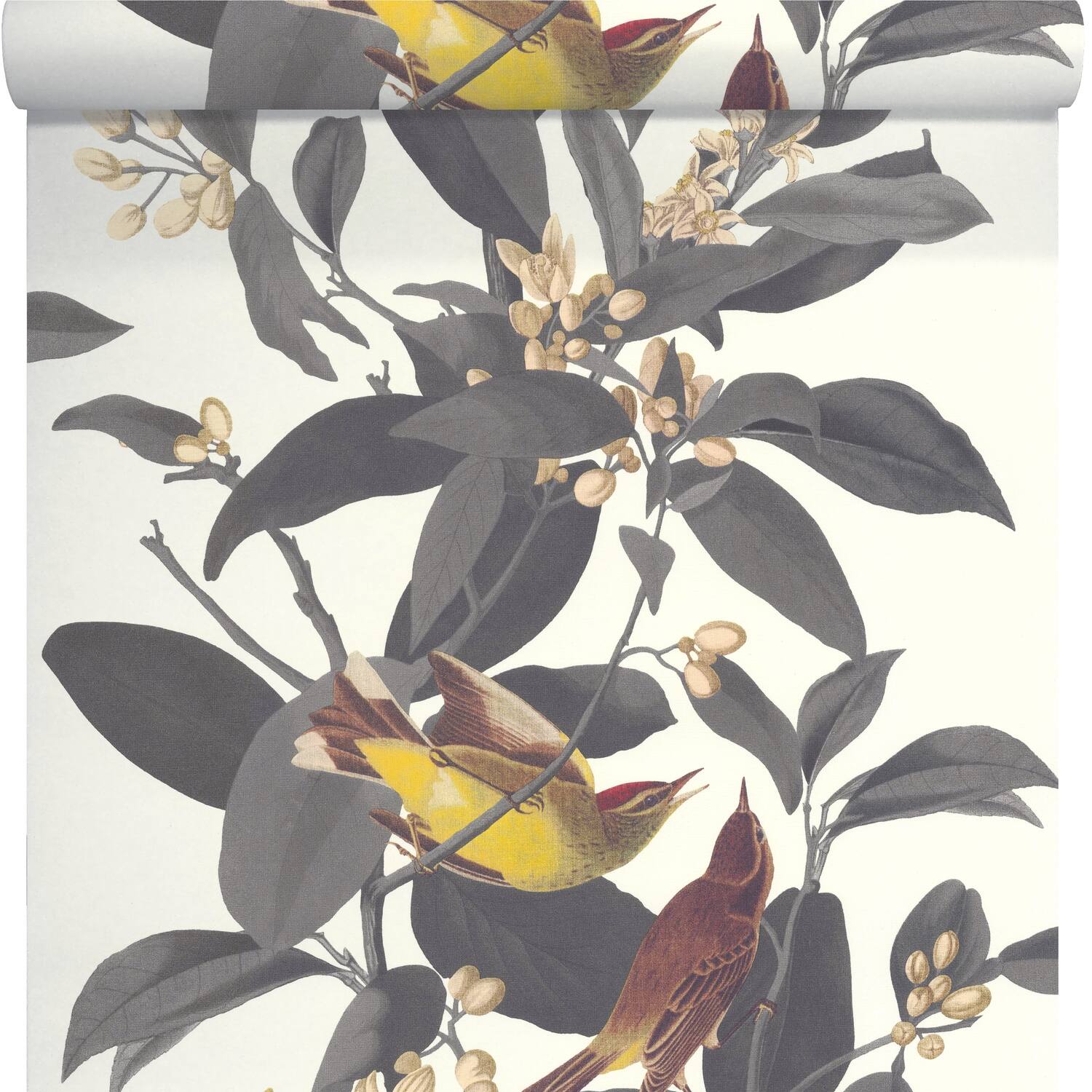 Papier peint vinyle lourd intissé branche oiseau gris 10,05x0,53m - LUTECE