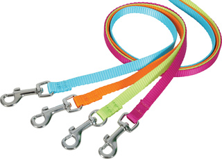 Laisse nylon XL 60 cm fuchsia - ZOLUX