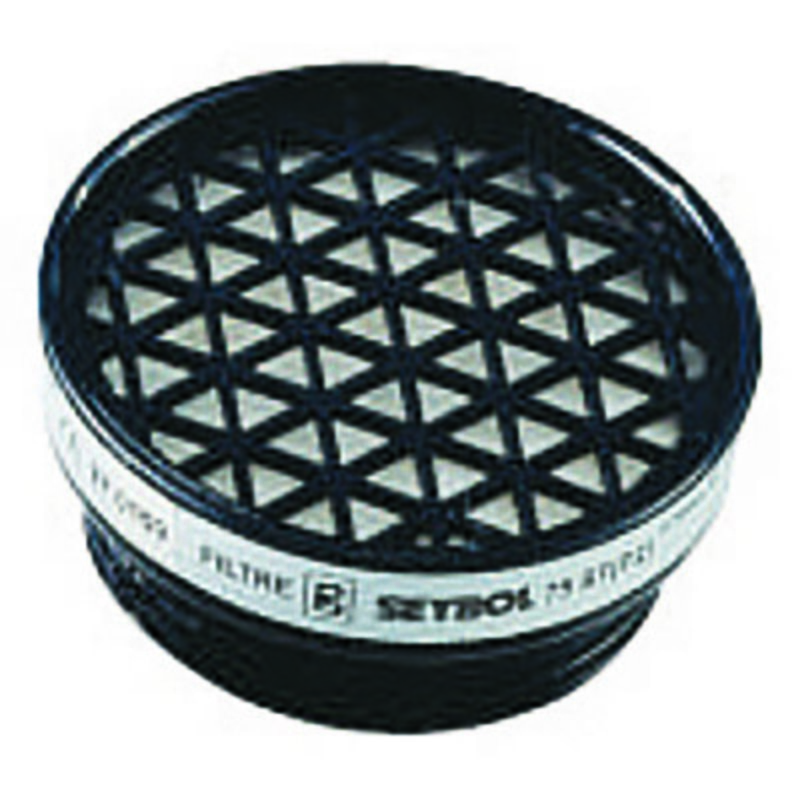 Lot de 2 filtres pour masque P2 - GERIN