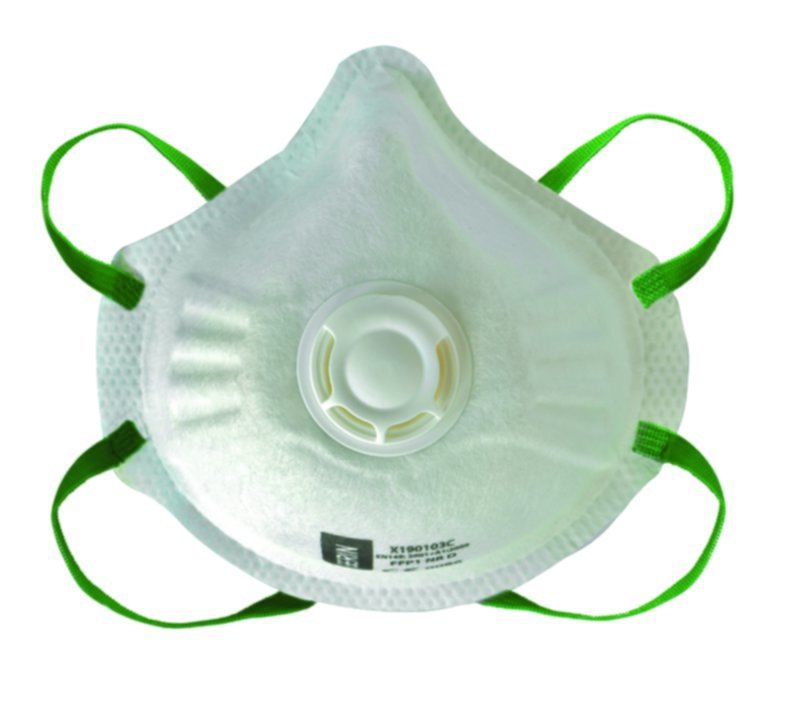 Blister 3 masques FFP1 - GERIN