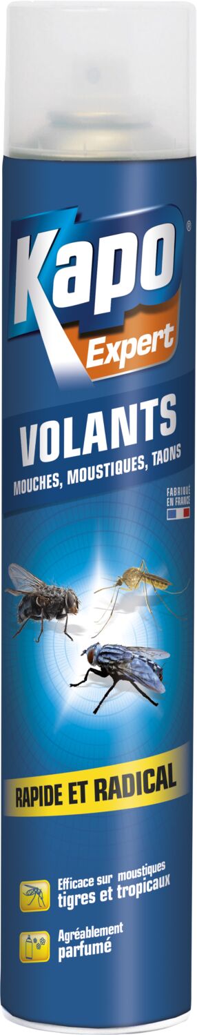 Aérosol insectes volants 750ml - K.PRO