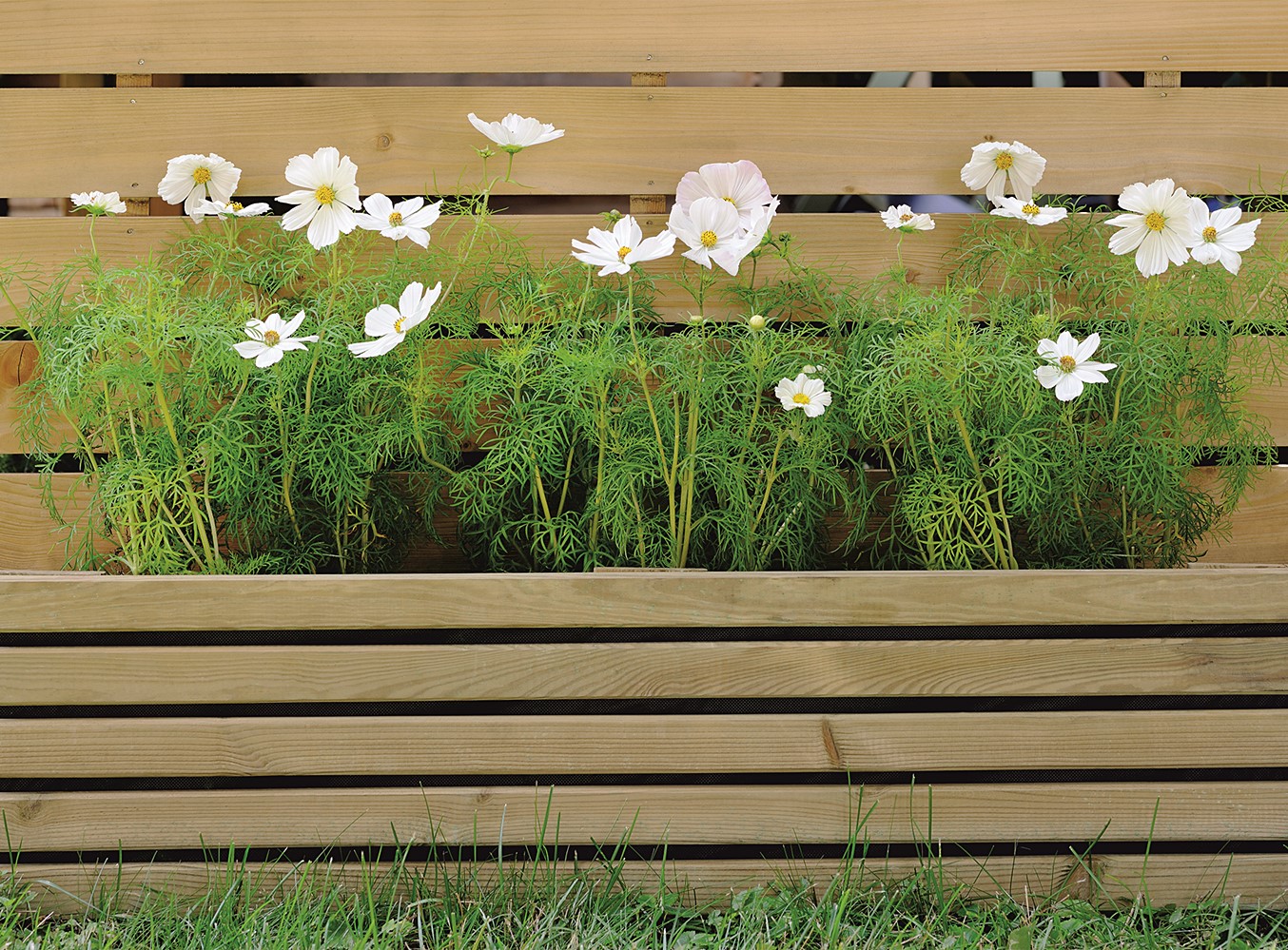 Bordure à Planter Küb 100x26/46x2,5cm CERLAND