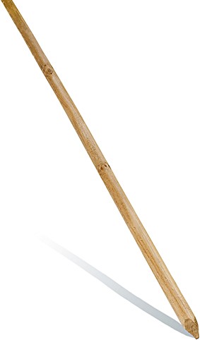 Tuteur Fraisé Ø7xl250cm CERLAND