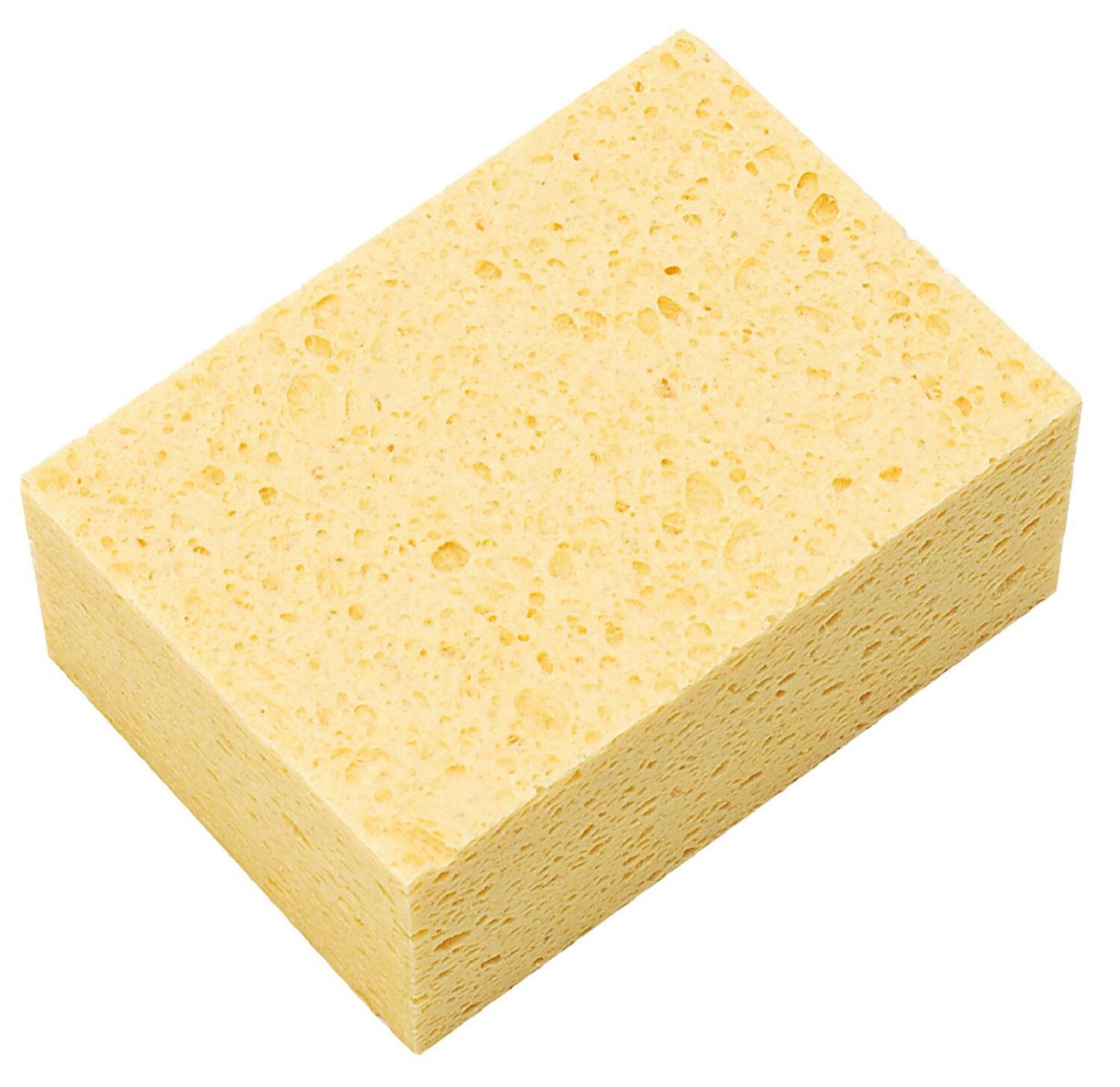 Éponge végétale - MONDELIN