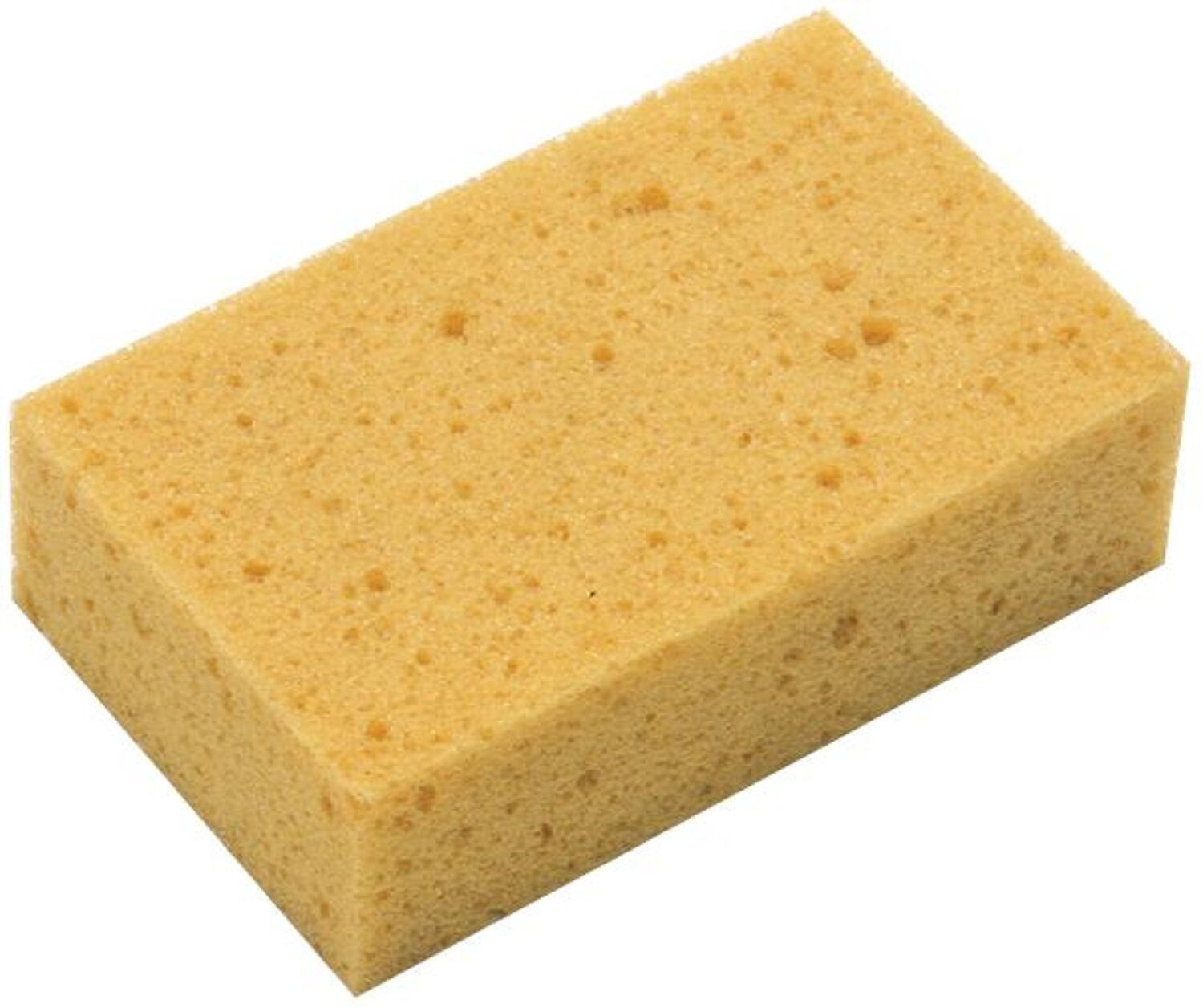 Éponge Classic - MONDELIN