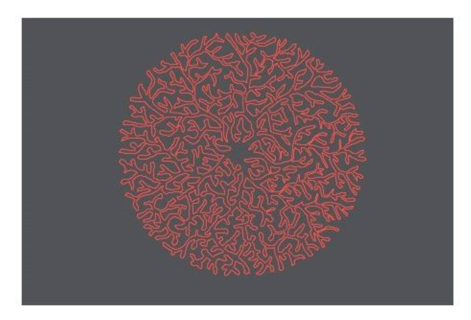 Tapis décoratif intérieur absorbant Vertueux Corail 75x50cm - CORYL