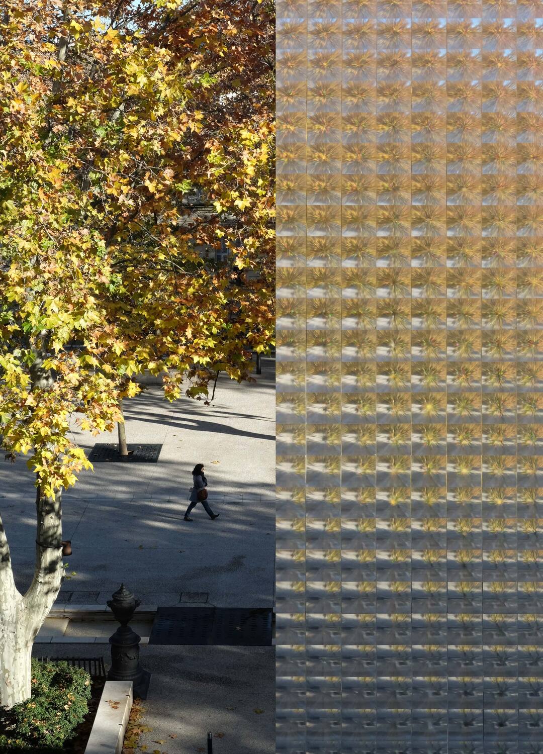 Film d'occultation vitrostatique 6036 Ambu L.45cm