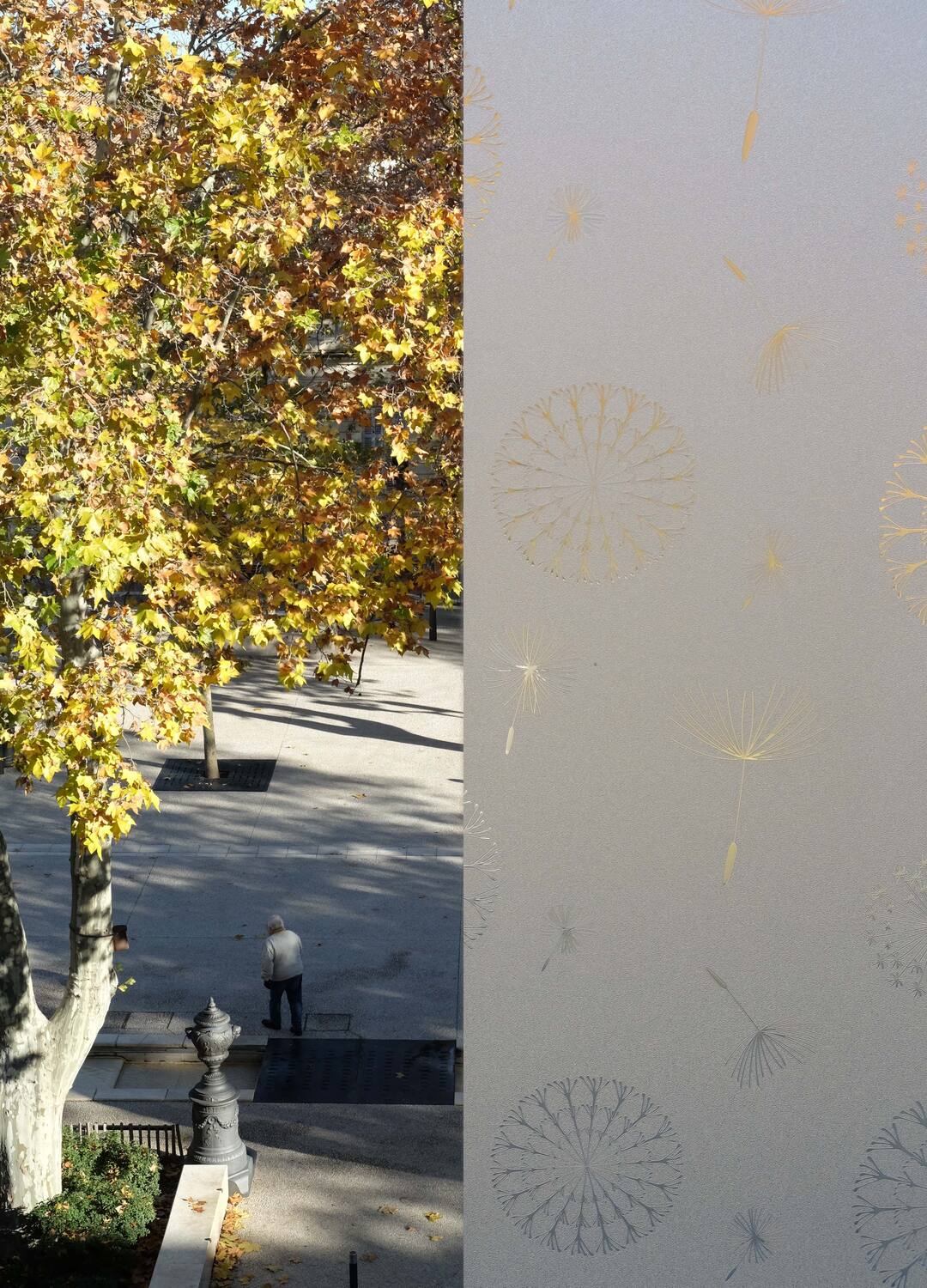 Film d'occultation vitrostatique 6041 pissen L.45cm