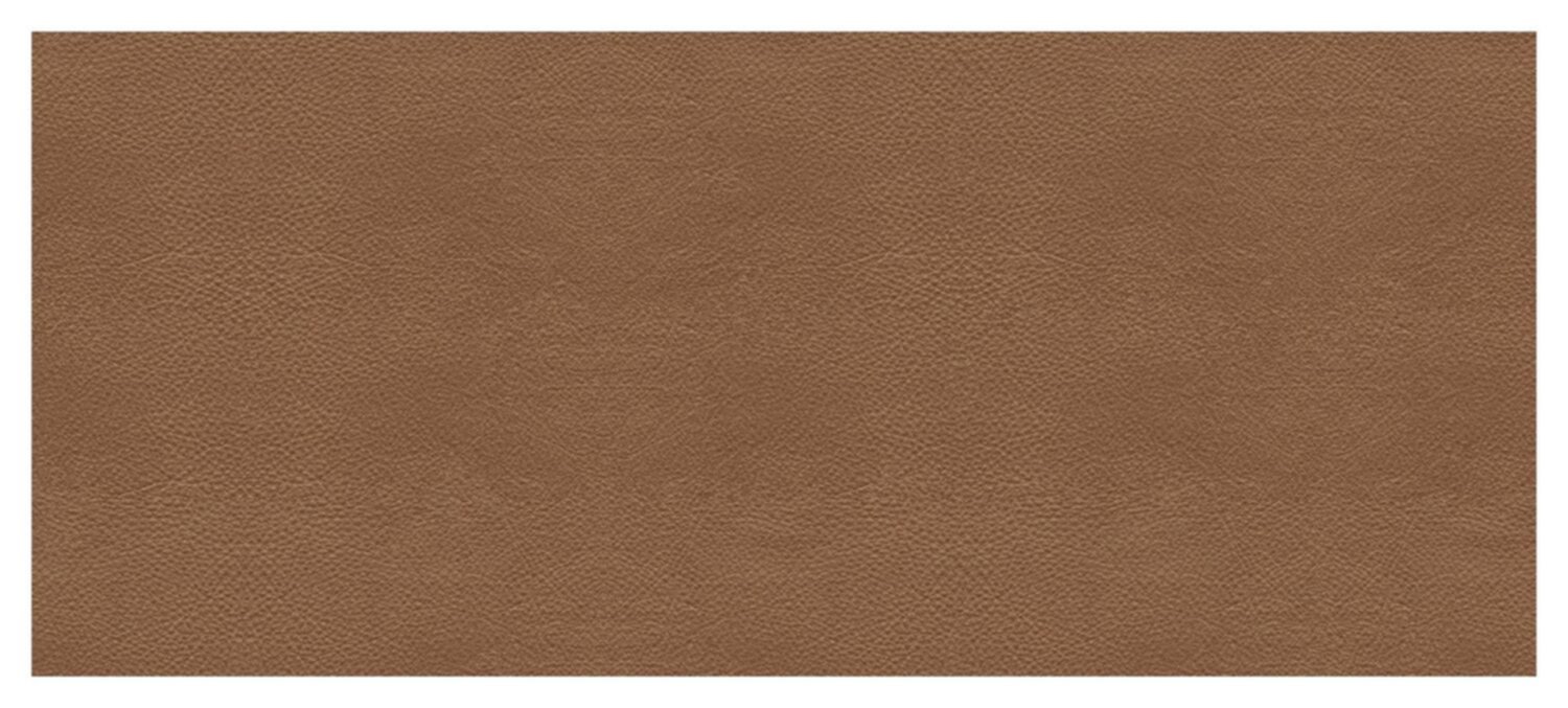Adhésif Cuir fauve 45x200mm réf.6399 - CORYL