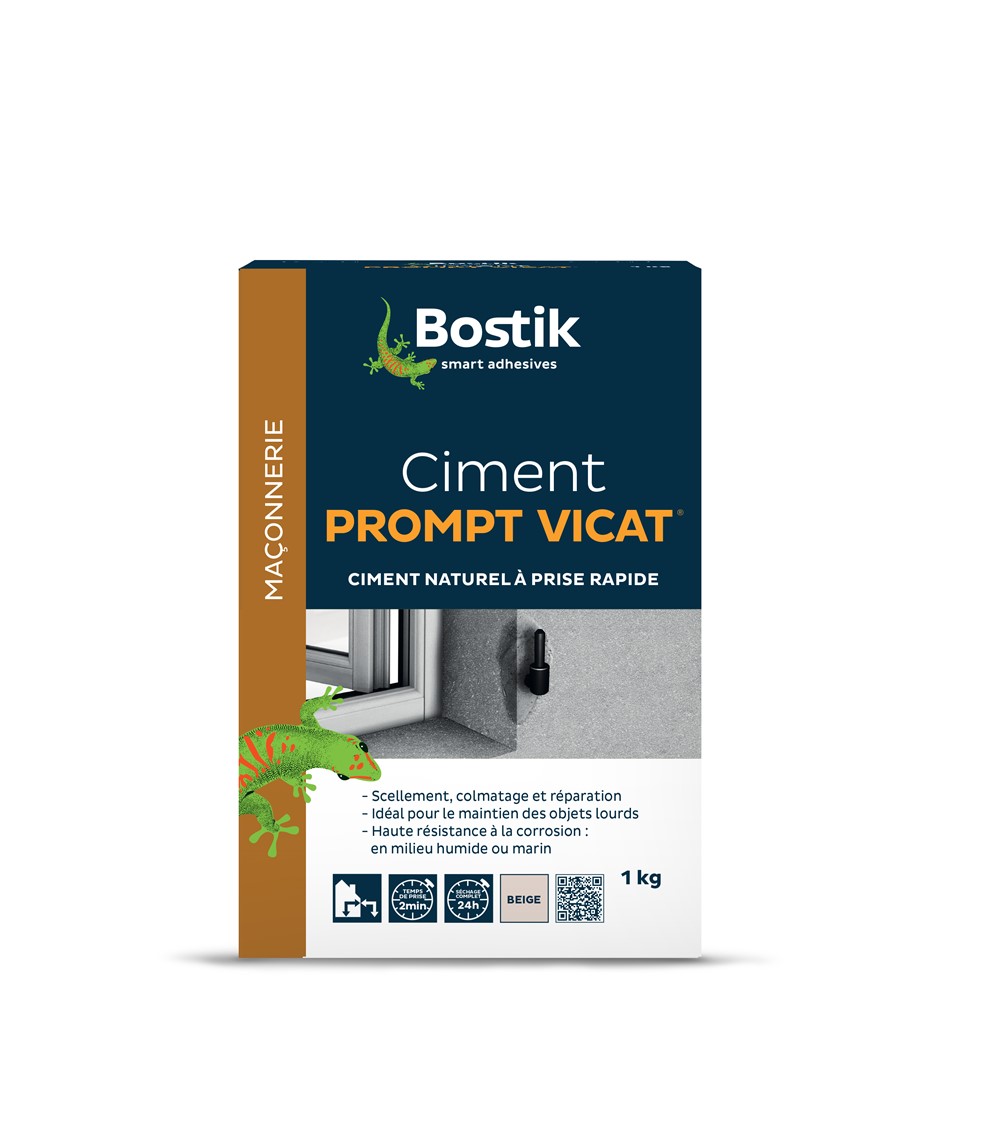 Ciment prompt vicat 1kg