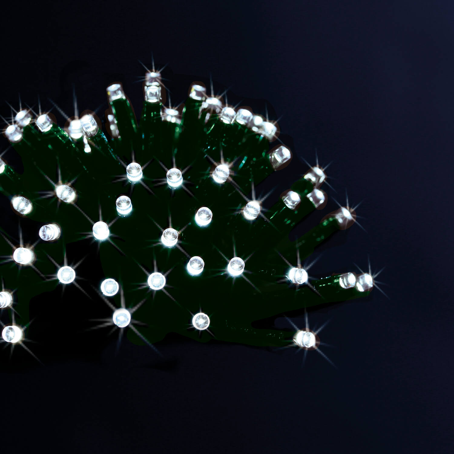 Guirlande extérieure éléctrique 100 LED Blanc Froid 5m