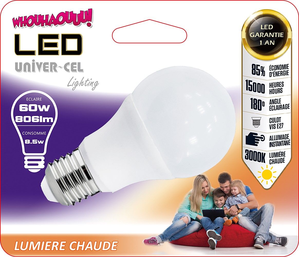 AMPOULE LED 60 W EDITION SPECIALE