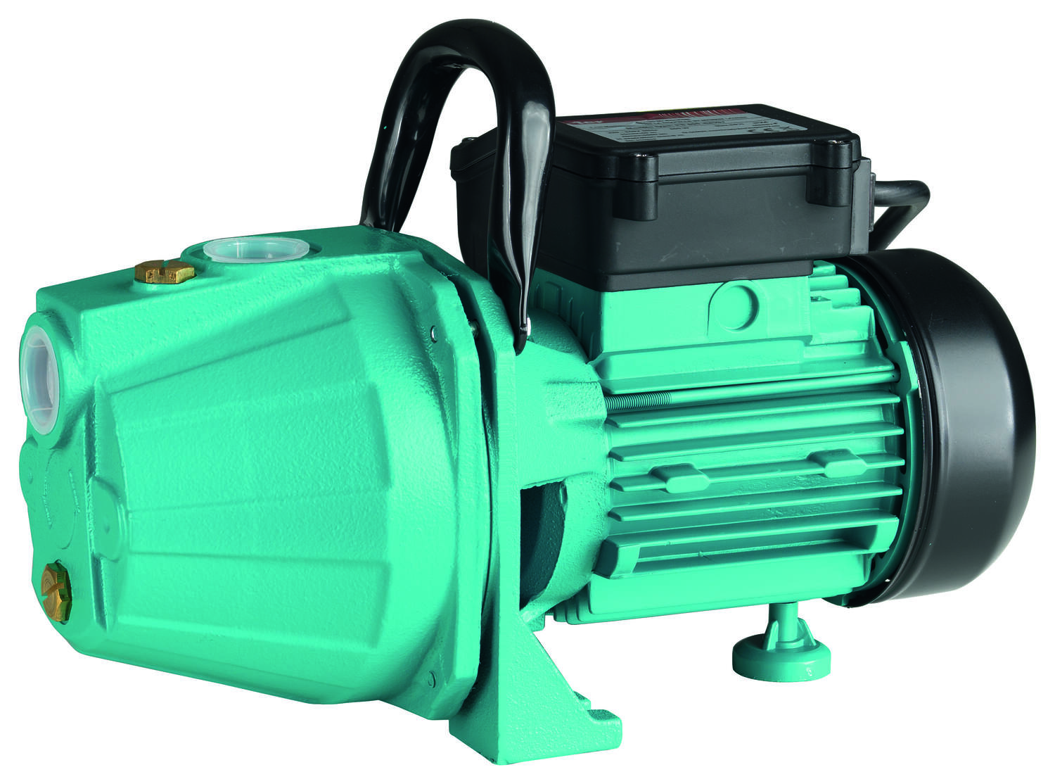 Pompe d'arrosage PS800 - 1ER