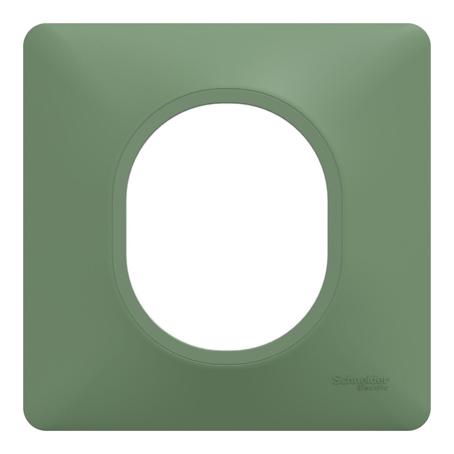 Plaque simple Ovalis vert forêt - SCHNEIDER ELECTRIC