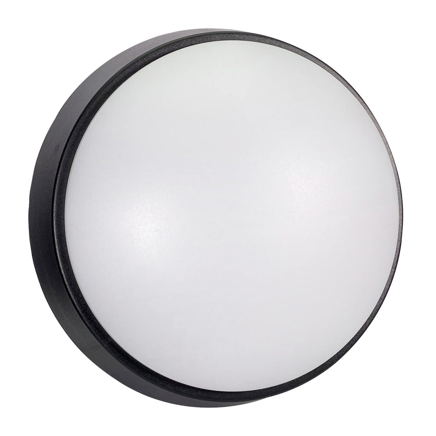 Hublot ovale Haris blanc IP54 8W L.113x165mm