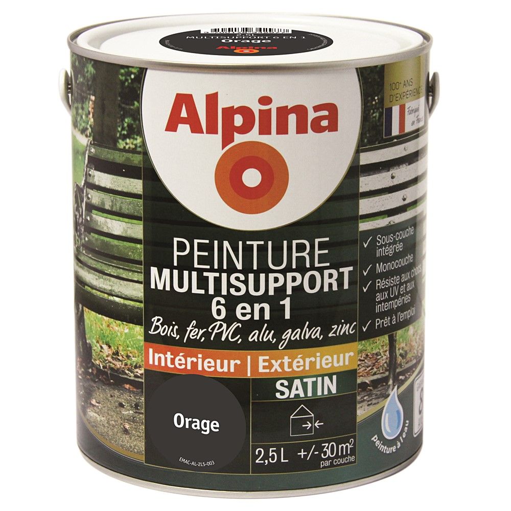 Peinture Multisupport 6 en 1 Orage 2,5L