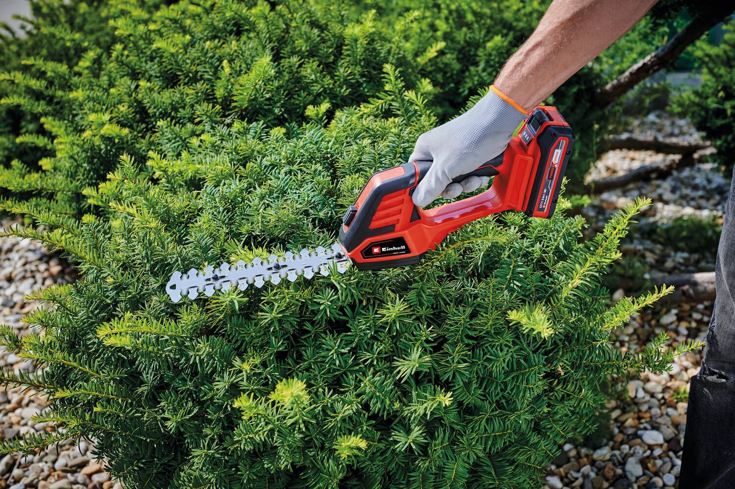 Cisaille à gazon et taille-buissons sans fil